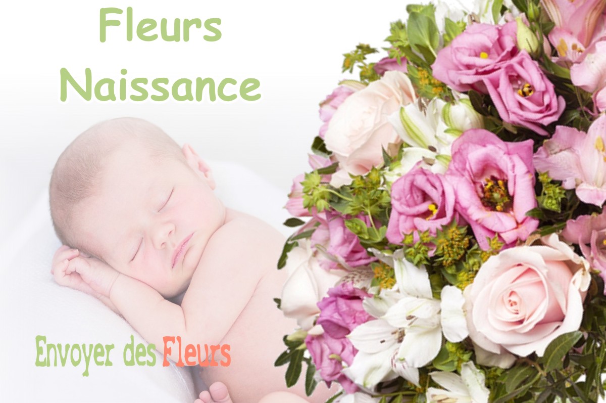 lIVRAISON FLEURS NAISSANCE à POMMIER-DE-BEAUREPAIRE